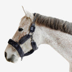 8991168