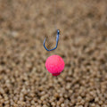IMG_1986851