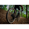 IMG_2611101