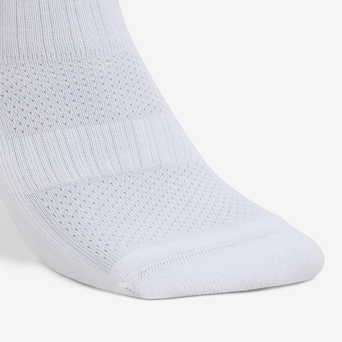 IMG_8549448_2