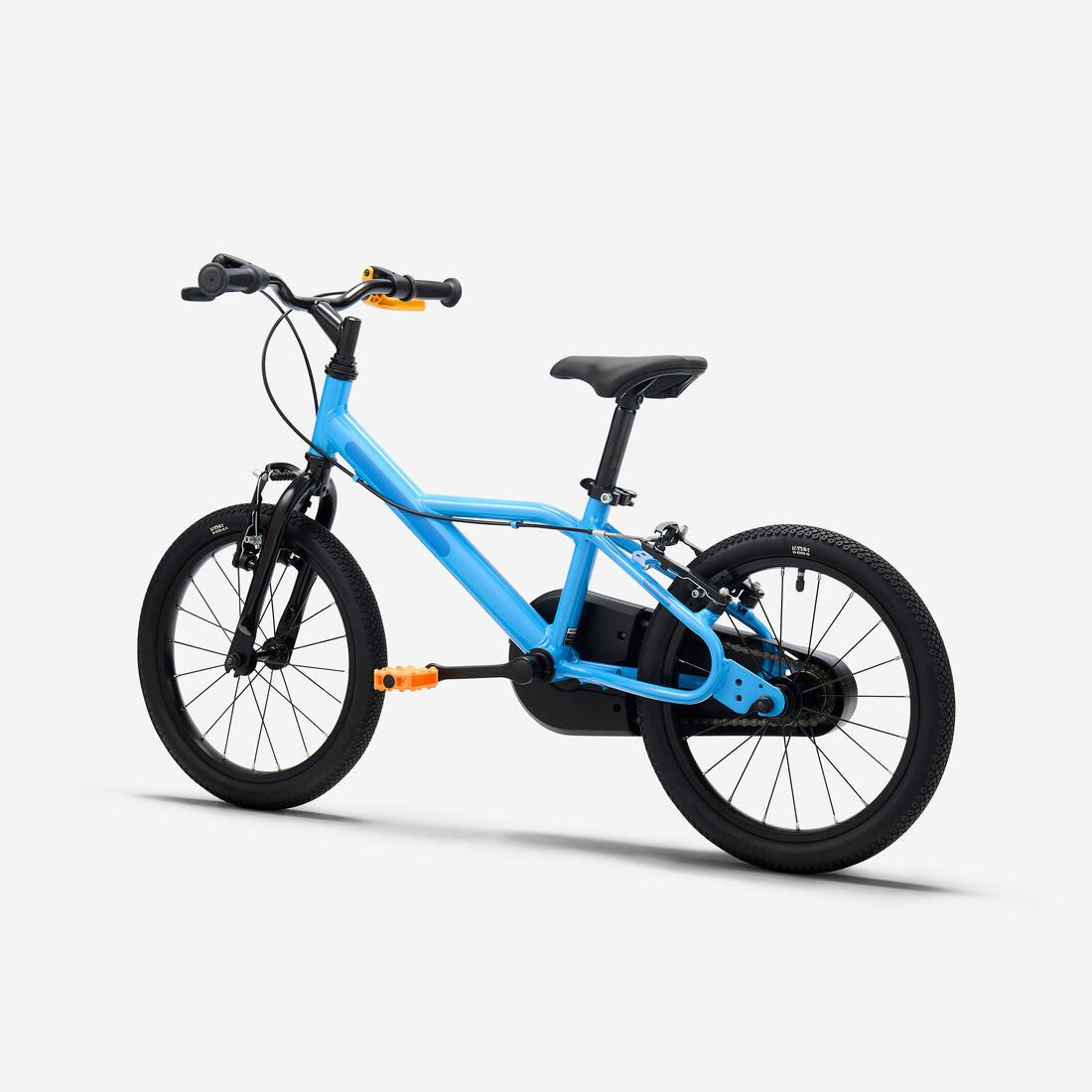 IMG_2879538