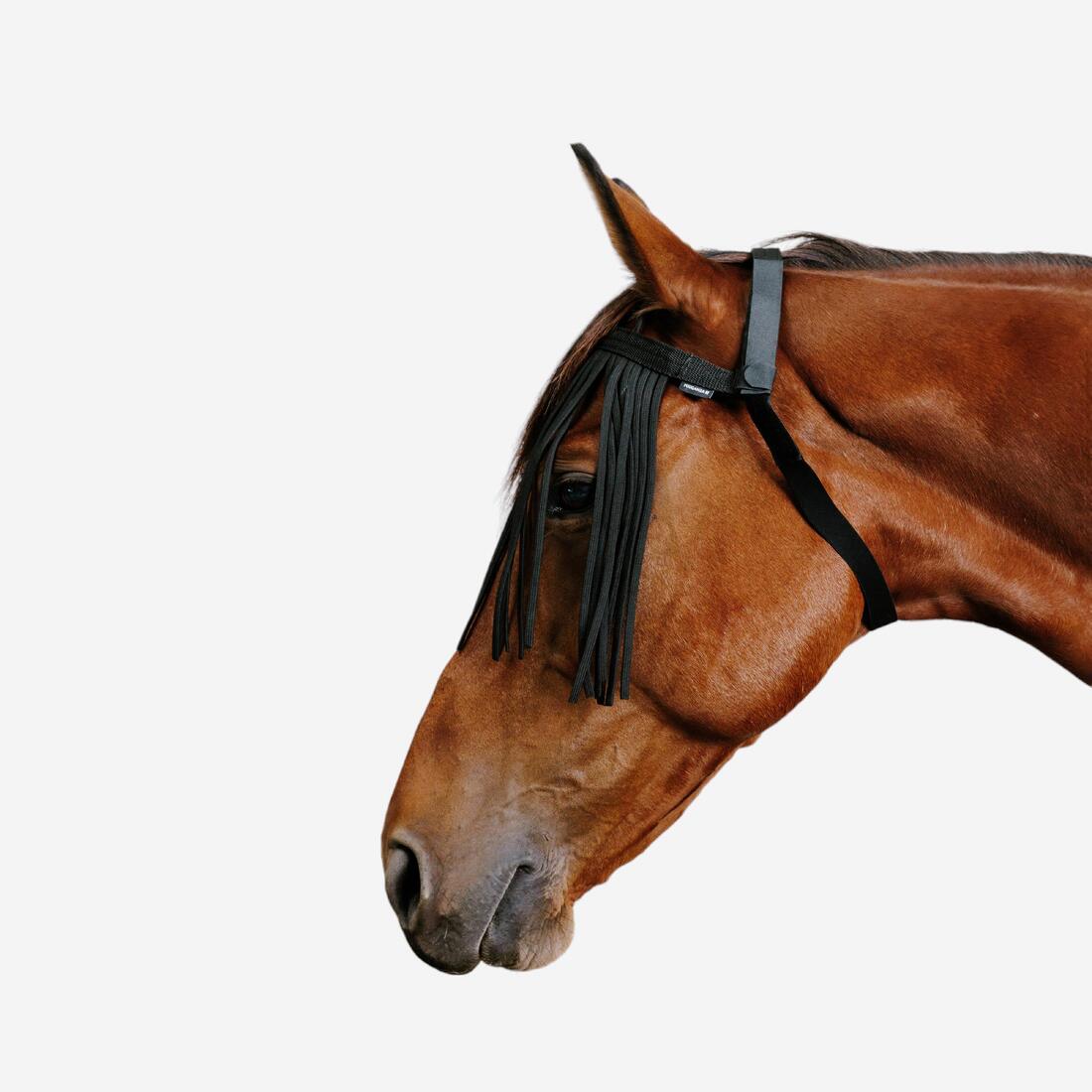 IMG_8807150_1