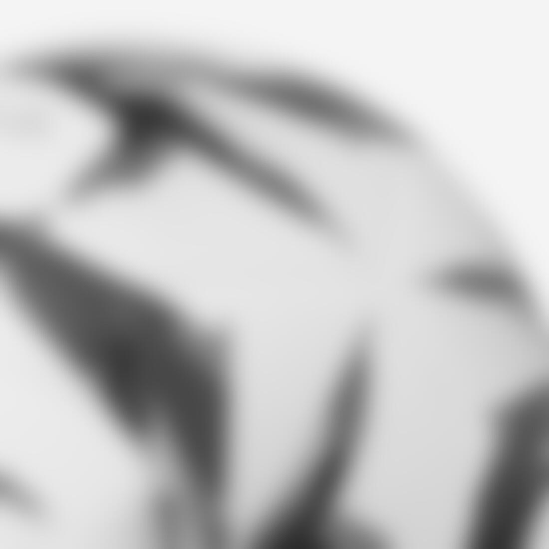 IMG_3165866