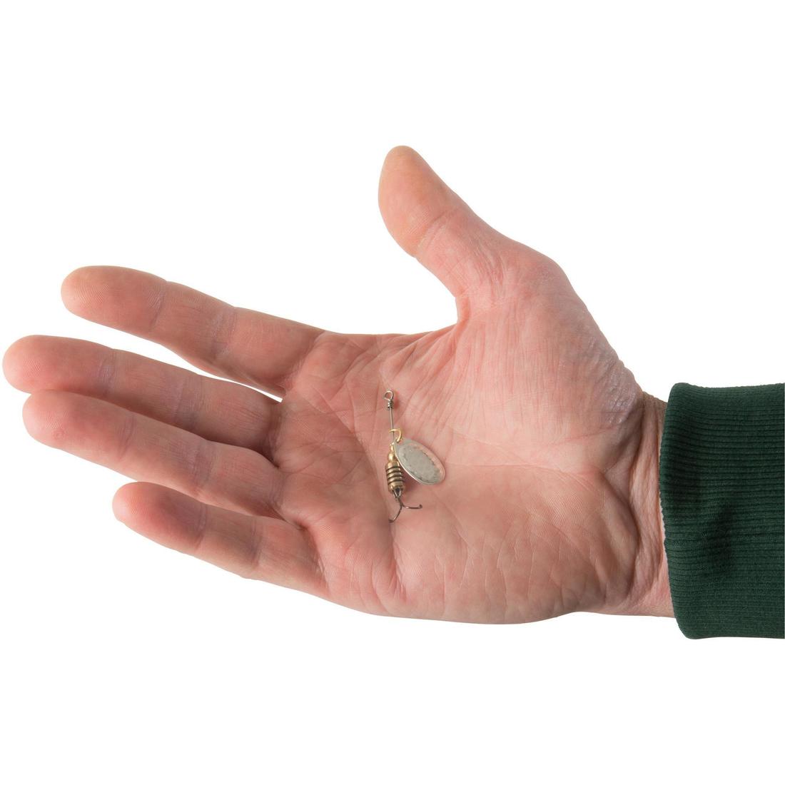 IMG_8405610_3