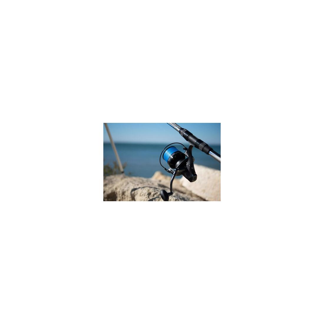IMG_8495479_10